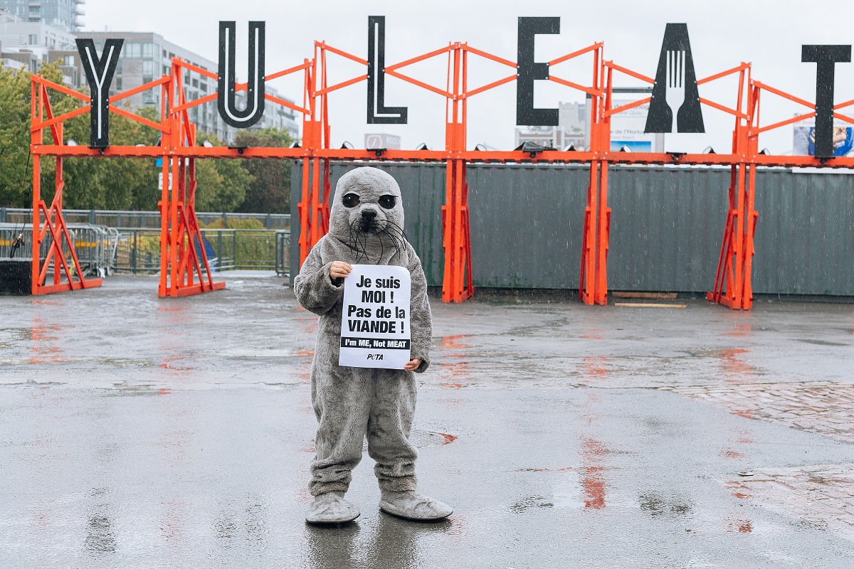 PETA campaign in Montreal by Ella Kathryn Mack/Splento