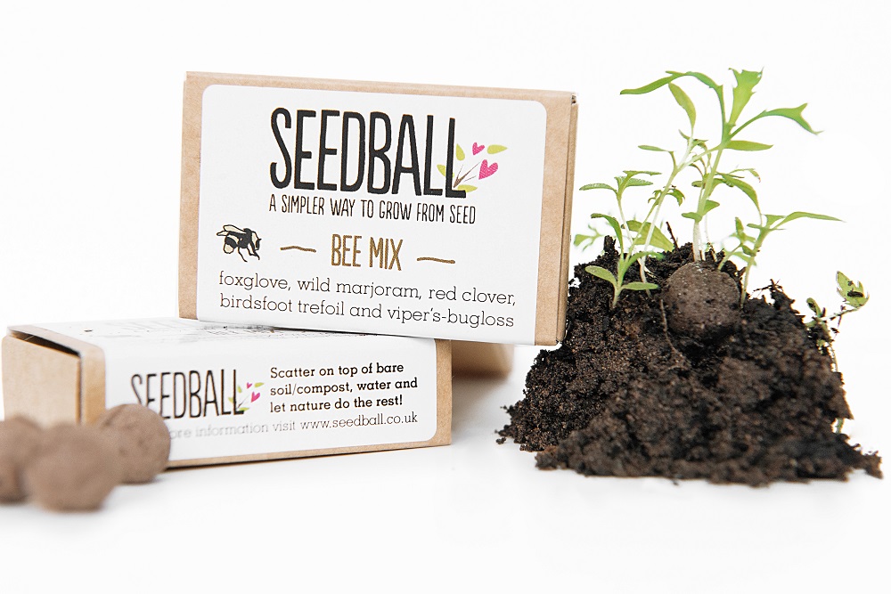 Seeds for planting - Ecwid product photography