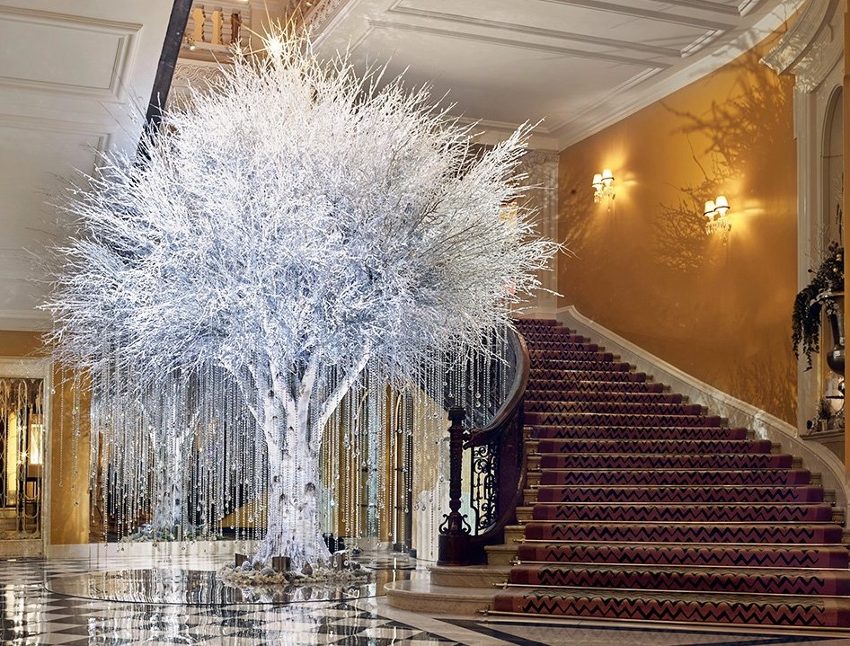 Claridge's Tree