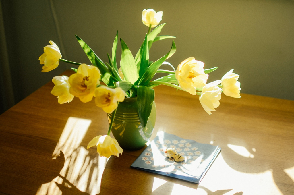 Importance of natural lighting in photography