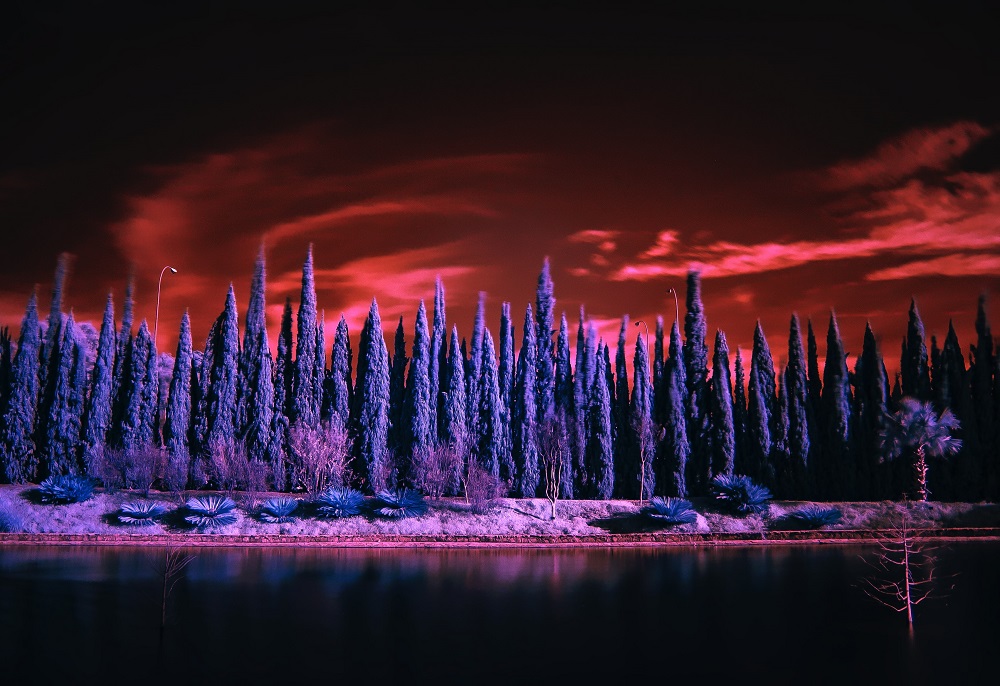 Beginners guide to infrared photography