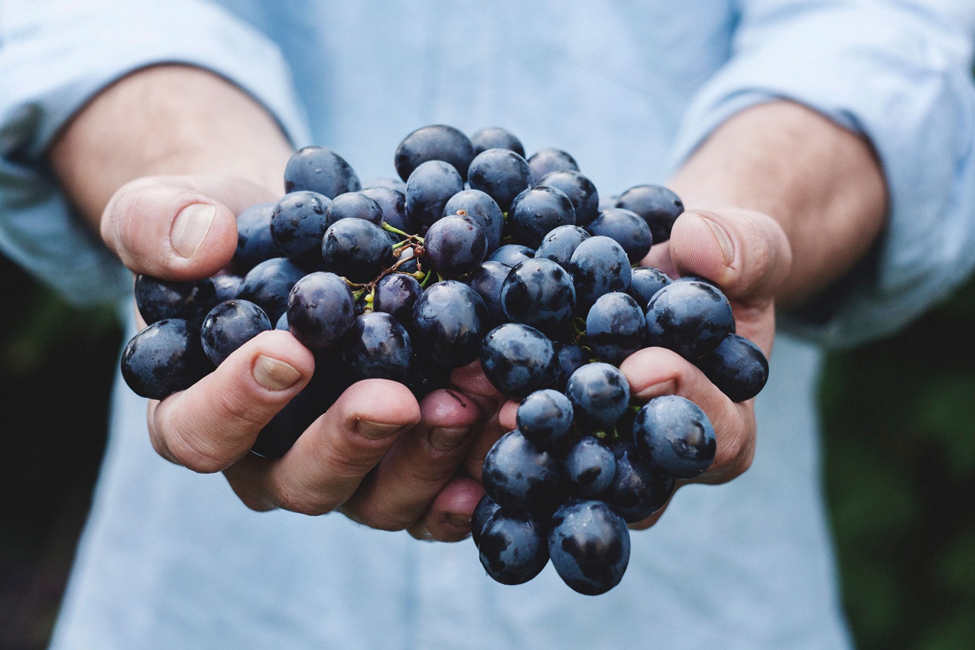 Food Photographer in Stoke-on-Trent